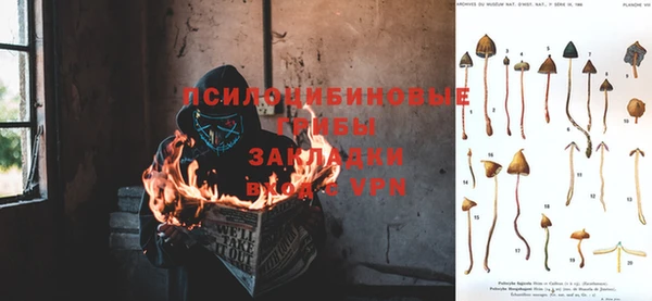 кокаин Арсеньев