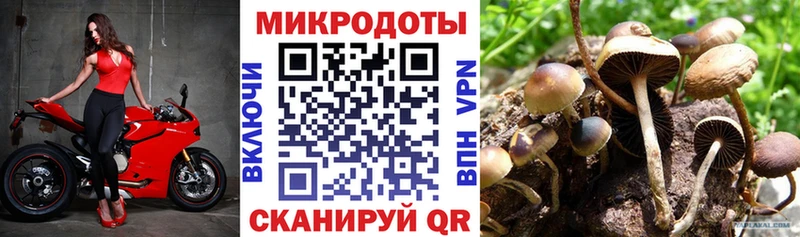 наркотики  Аркадак  Псилоцибиновые грибы Cubensis 