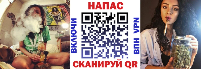 Бошки Шишки план  kraken зеркало  Аркадак 